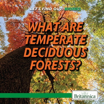 What Are Temperate Deciduous Forests? - Heather Moore Niver
