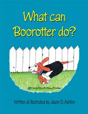 What Can Boorotter Do?