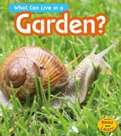What Can Live in the Garden?