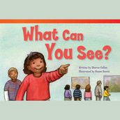 What Can You See? Audiobook