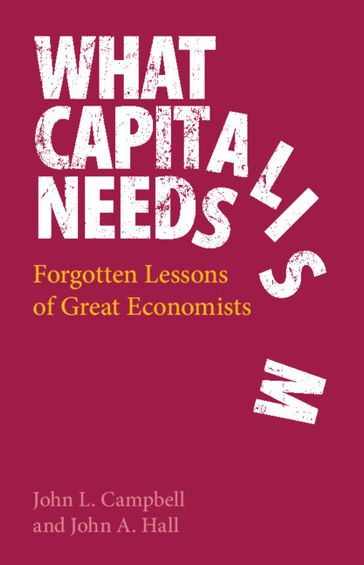 What Capitalism Needs - John A. Hall - John L. Campbell