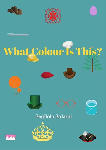 What Colour Is This? - Segilola Salami