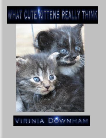 What Cute Kittens Really Think - Virinia Downham