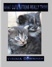 What Cute Kittens Really Think