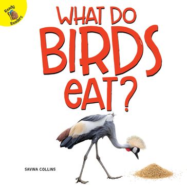 What Do Birds Eat? - Savina Collins