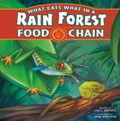 What Eats What in a Rain Forest Food Chain