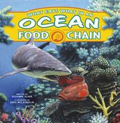 What Eats What in an Ocean Food Chain