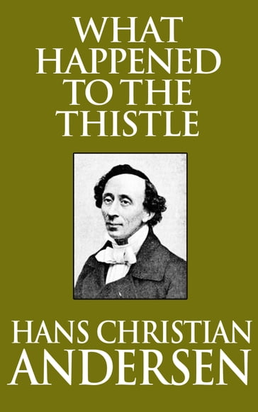 What Happened to the Thistle - Hans Christian Andersen