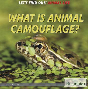 What Is Animal Camouflage? - Tracey Baptiste