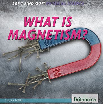 What Is Magnetism? - Jeanne Nagle