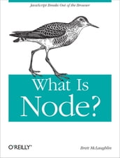 What Is Node?