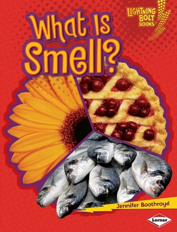 What Is Smell? - Jennifer Boothroyd