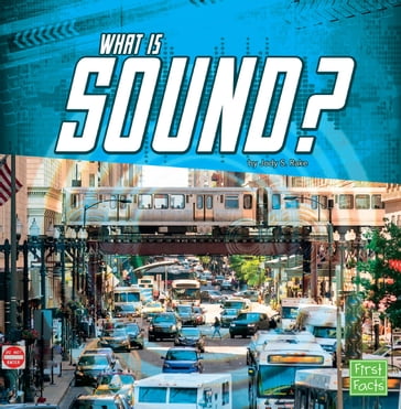 What Is Sound? - Jody S. Rake