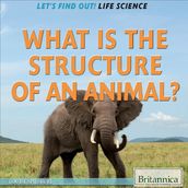 What Is the Structure of an Animal?