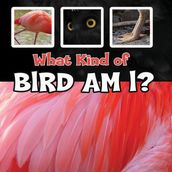 What Kind of Bird Am I?