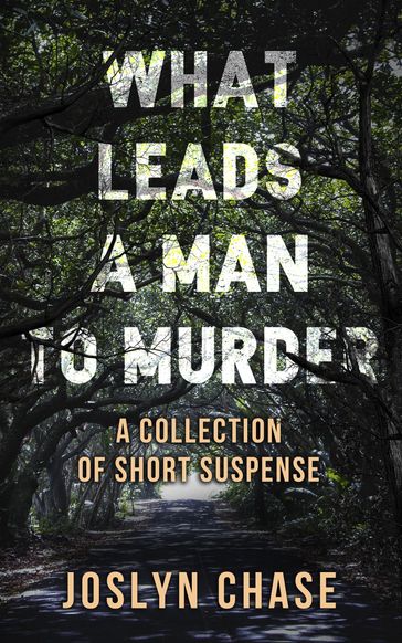 What Leads A Man To Murder - Joslyn Chase