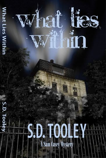 What Lies Within - S.D. Tooley