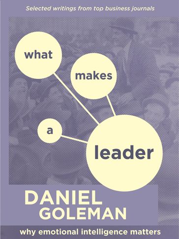 What Makes a Leader - Daniel Goleman