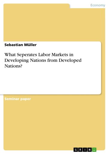 What Seperates Labor Markets in Developing Nations from Developed Nations? - Sebastian Muller