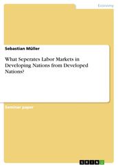 What Seperates Labor Markets in Developing Nations from Developed Nations?