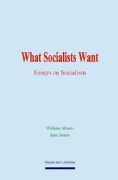 What Socialists Want