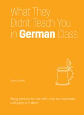 What They Didn t Teach You in German Class