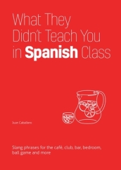 What They Didn t Teach You In Spanish Class