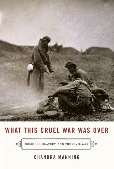 What This Cruel War Was Over - Chandra Manning