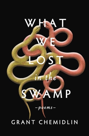What We Lost in the Swamp - Grant Chemidlin