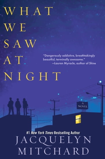 What We Saw at Night - Jacquelyn Mitchard