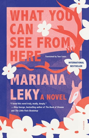 What You Can See from Here - MARIANA LEKY