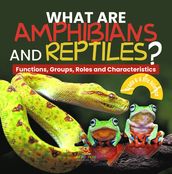 What are Amphibians and Reptiles? Functions, Groups, Roles and Characteristics   Grade 6-8 Life Science