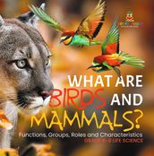 What are Birds and Mammals? Functions, Groups, Roles and Characteristics   Grade 6-8 Life Science