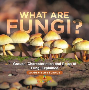 What are Fungi? Groups, Characteristics and Roles of Fungi Explained   Grade 6-8 Life Science - Baby Professor