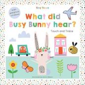 What did Busy Bunny hear?