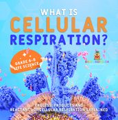 What is Cellular Respiration? Process, Products and Reactants of Cellular Respiration Explained   Grade 6-8 Life Science