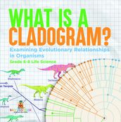 What is a Cladogram? Examining Evolutionary Relationships in Organisms   Grade 6-8 Life Science