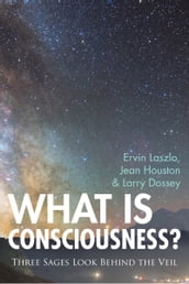 What is Consciousness?