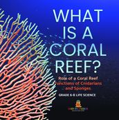 What is a Coral Reef? Role of a Coral Reef   Functions of Cnidarians and Sponges   Grade 6-8 Life Science