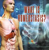 What is Homeostasis? How Human Body Organs Function   Levels of Organization   Grade 6-8 Life Science