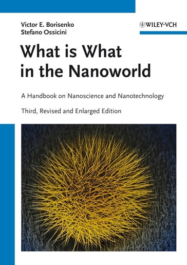 What is What in the Nanoworld - Victor E. Borisenko - Stefano Ossicini
