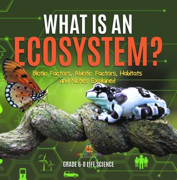 What is an Ecosystem? Biotic Factors, Abiotic Factors, Habitats and Niches Explained   Grade 6-8 Life Science - Baby Professor