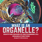 What is an Organelle? Identifying Organelles and Examining Cell Organelle Functions   Grade 6-8 Life Science