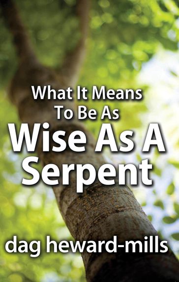 What it Means to be as Wise as a Serpent - Dag Heward-Mills