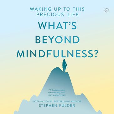 What's Beyond Mindfulness? - Stephen Fulder
