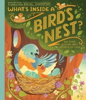 What s Inside A Bird s Nest?