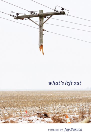 What's Left Out - Jay Baruch