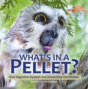 What s in a Pellet? Owl Digestive System and Dissecting Owl Pellets   Grade 6-8 Life Science