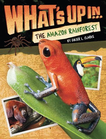 What's Up in the Amazon Rainforest - Ginjer L. Clarke