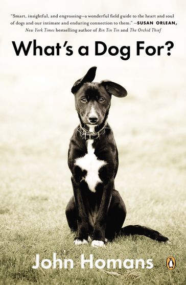 What's a Dog For? - John Homans